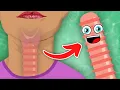 I Am YOUR Trachea Human Trachea Song KLT Anatomy