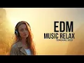 Download Lagu Mix Musik EDM 2025 🎧 Remix EDM Lagu-lagu Populer 🎧 Mix Musik Bass Boosted #remix