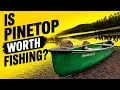 Pinetop Arizona Bass Fishing Can We Catch Bass in the White Mountains