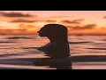 Derun - Kordelio (PHCK Remix)