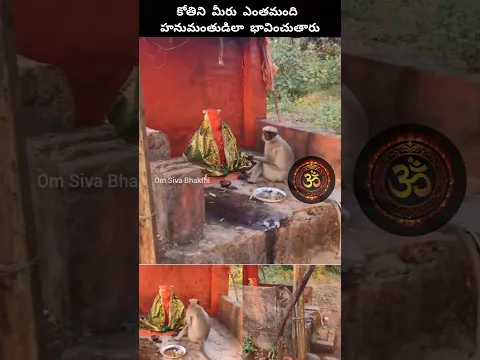కోతి వచ్చి హనుమంతుడి దగ్గర ఉన్న నైవేద్యాన్ని తింటుంది #hanuman #ram #hindudeity #bhakti #monkey #god
