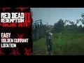 Easy golden currant location Red Dead Redemption 2 Online
