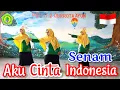 Download Lagu Senam \