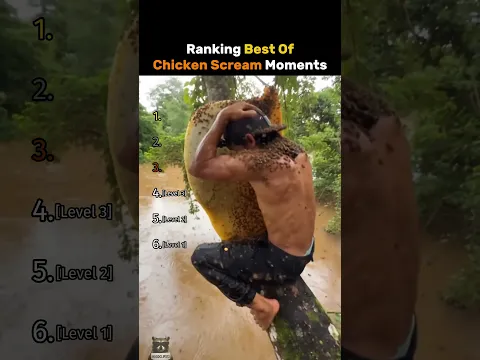 Ranking Best Of Chicken Scream Moments