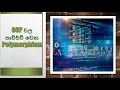 OOP Polymorphism in Sinhala Lesson 8