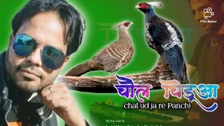akanupammusic latest himachali song chole chidua eyi desha n pore by ak anupam 2022