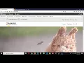 Drupal TaraPro Theme - Create Header Top Contact Info