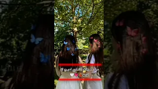 ستوريات على كولات الشاوي احبج اني كومة 