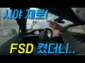 시야 0m, FSD 켰더니 소름 돋는 결과 (한국 폭우 테스트) /V14.1.4