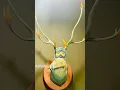 Download Lagu Opportunity doesn't come and catch you, you have to go ahead and make it your own.👈 #viralvideo #nature #viral