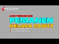 LAGU REMIX TERBARU 2023_PEMANEN KELAPA SAWIT_NHAFFOS42