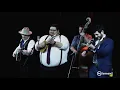 Seth Mulder & Midnight Run LIVE @ Isis Music Hall 2-20-2021