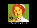 Planta & Raíz - Pra Poucos