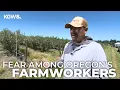 Download Lagu Oregon berry farmers say fears of immigration enforcement threaten harvest