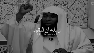 فإنه من يتقي ويصبر فإن الله لا يضيع اجر المحسنين      بدر المشاري دندنها