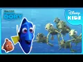 Download Lagu 🌎 Exploring the Open Ocean! | Finding Dory | Disney Kids