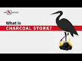 What is Charcoal Stork Red Canary Threat Intelligence