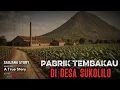 Download Lagu Misteri Pabrik Tembakau di Desa Sukolilo