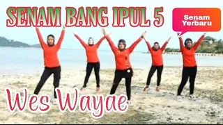 Download SENAM BANG IPUL 5 || WES WAYAE MP3