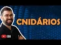 Channel