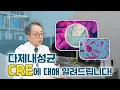 Download Lagu CRE에 대해 알려드립니다.