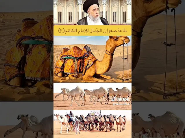 ⁣الاجمال من اصحاب الإمام الكاظم. 🙏💓سيد صباح شبر
