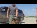 RPD K9 REX 2016
