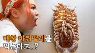 🇻🇳30만원짜리 바다바퀴벌레!! 랍스터보다 맛있는거 아세요?!