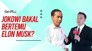 Jokowi Dikabarkan akan Bertemu Elon Musk, Kapan?