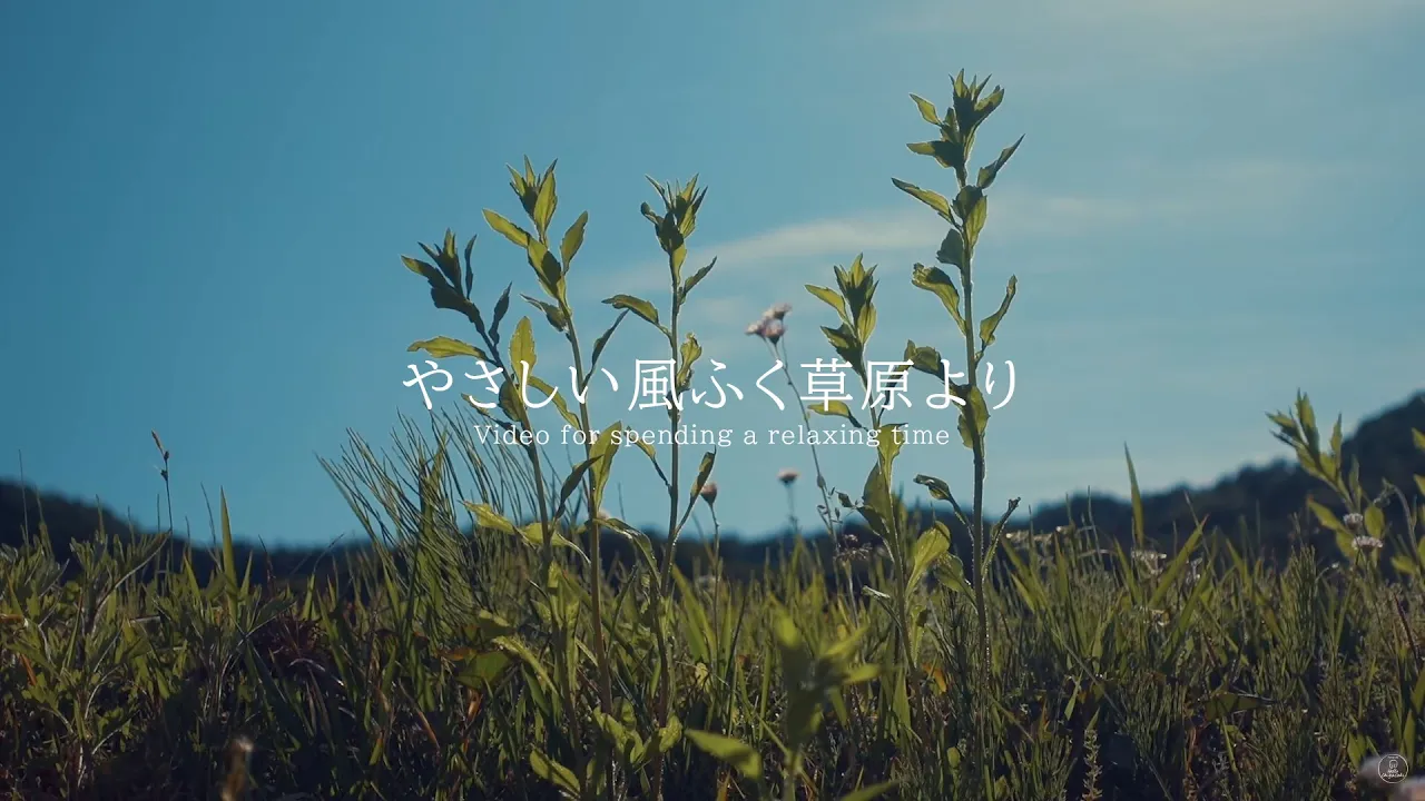 風の音。効果音・癒やしの環境音