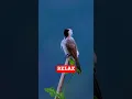 Download Lagu Peaceful Kutilang Bird Relaxing in Nature #naturelovers