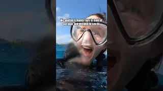 A magical swim with our favorite sea creatures!🤿 #mantaray