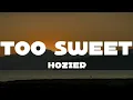 Download Lagu Hozier - Too Sweet (Lyrics)