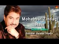 Lagu Mohabbat Zindagi Hain | Ultra Classic Jhankar Beats | Kumar Sanu Very Rare Song 90's  Romantic Song