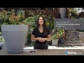 Crescent Garden TruDrop Self-Watering Planters Successful Install