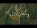 Download Lagu DI BALIK SENANDUNG #EPS 2 / Hujan di balik jendela \u0026  Cerita di balik lagu ini