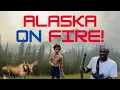 Alaska A Land of Wildfires and Unbelievable Wildlife