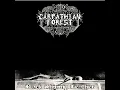 Carpathian Forest - Black Shining Leather