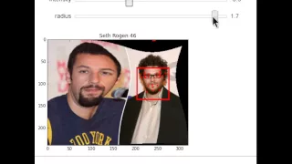 IPython Widgets