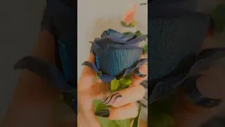 وبرمشك الاكحل ناوي اتغزل 