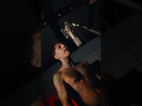 spoiler “freestyle 3”
