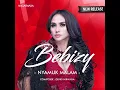 Download Lagu Bebizy - Nyamuk Malam (New Version)