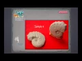 Fossil Lab demo
