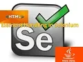 Selenium Class 27 Handling Elements in Selenium Part-2