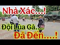 Download Lagu Đội Lùa Gà Đến Nhà Xác...! Đưa TMT lên 9 tầng mây...? mục đích quá rõ...