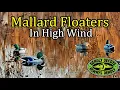 Deadly Decoys Mallard Floaters In 15 MPH Wind