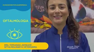 Vet Diagnosis: Fernanda Jannuzzi oftalmologista veterinária pode ajudar a cuidar da visão do seu pet