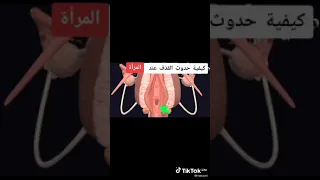 كيفية القذف عند المراة 