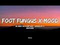Lagu Foot Fungus x Mood Slowed (Lyrics) Quitezy Mashup