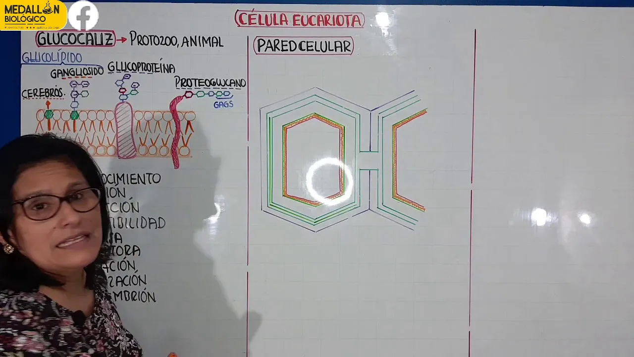 CÉLULA EUCARIOTA